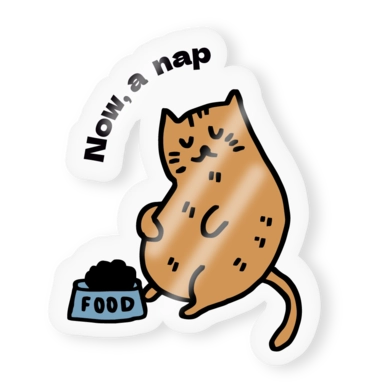 Pegatinas Transparentes